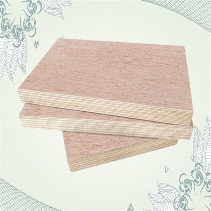 Best Cost Effective Bintangor Commercial Plywood Sheet Hot On Sale