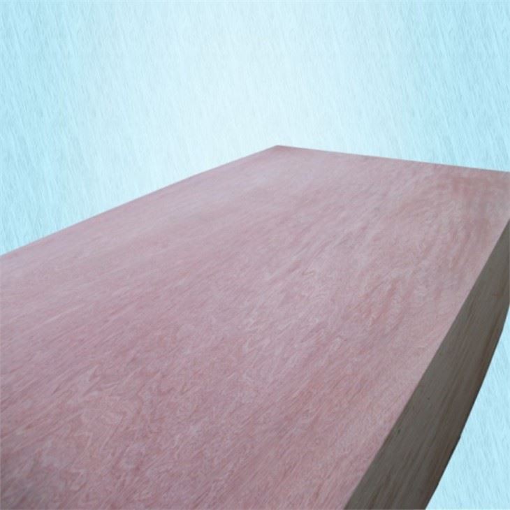 Best Cost Effective Bintangor Commercial Plywood Sheet Hot On Sale