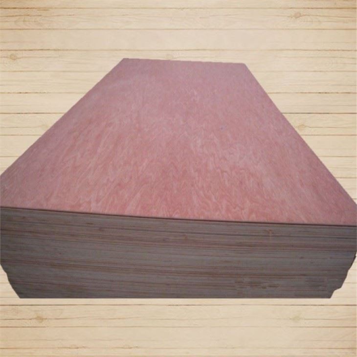 Best Cost Effective Bintangor Commercial Plywood Sheet Hot On Sale