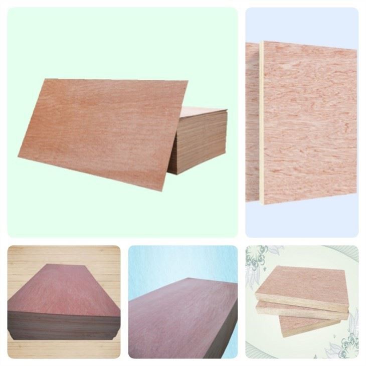 Best Cost Effective Bintangor Commercial Plywood Sheet Hot On Sale