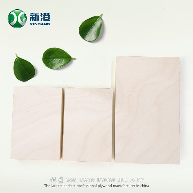 Best Full Birch Plywood XINGANG Brand