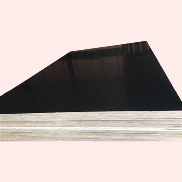 Best Value Series Film Faced Plywood WBP MR Glue Film Faced Plywood