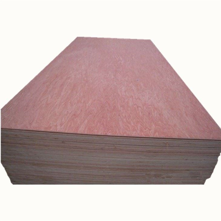 Bintangor BBCC Face Back XG Commercial Plywood