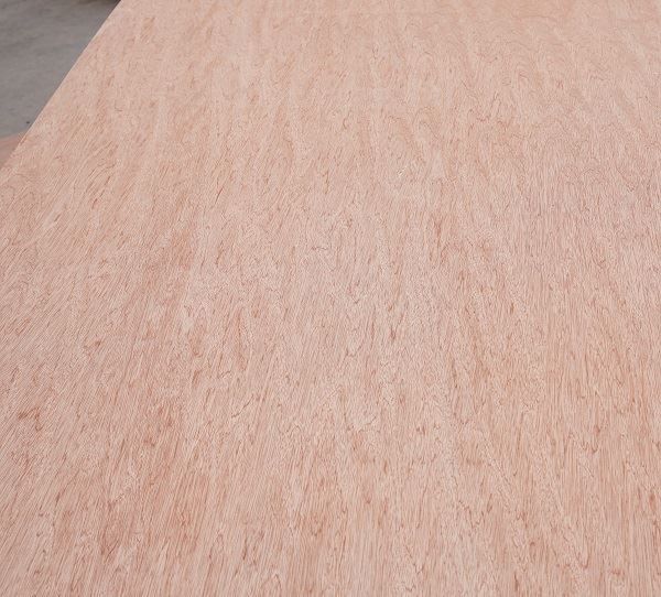 Bintangor Venner Plywood