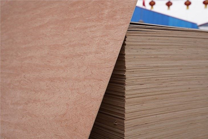 Bintangor Venner Plywood