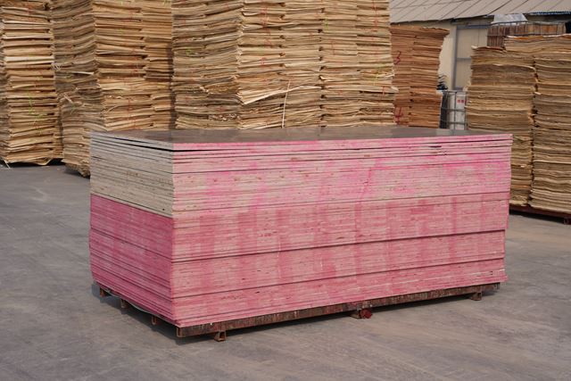 Black Film / Finger Joint Plywood/ XINGANG / China