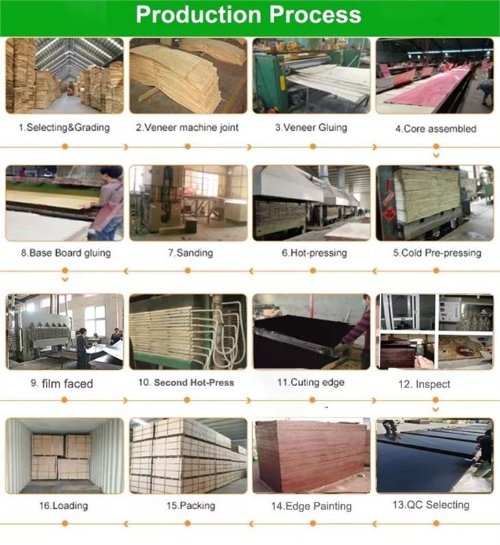 Building Plywood Black Film Brown Film Faced Plywood 12mm