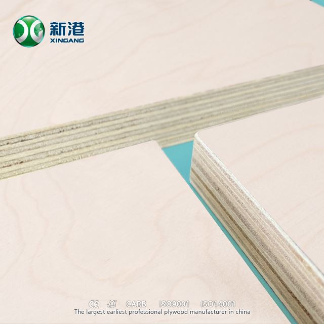 CDX Pine Plywood Construction Plywood