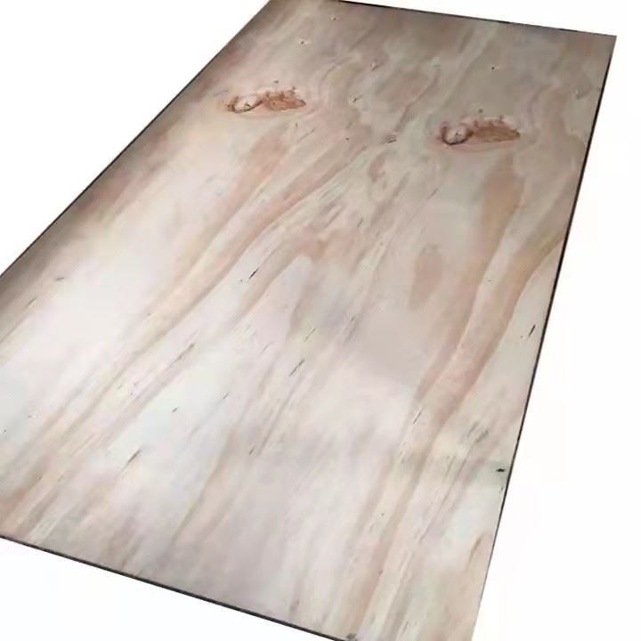 CDX Plywood Factory Price Structure Best Quality