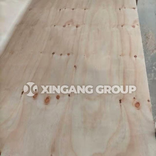 CDX Plywood Pine Plywood For Structure Best Quality