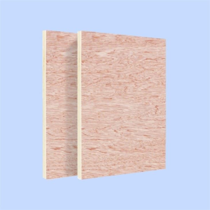 Cheap Plywood For Commercial Use XG Plywood Panels