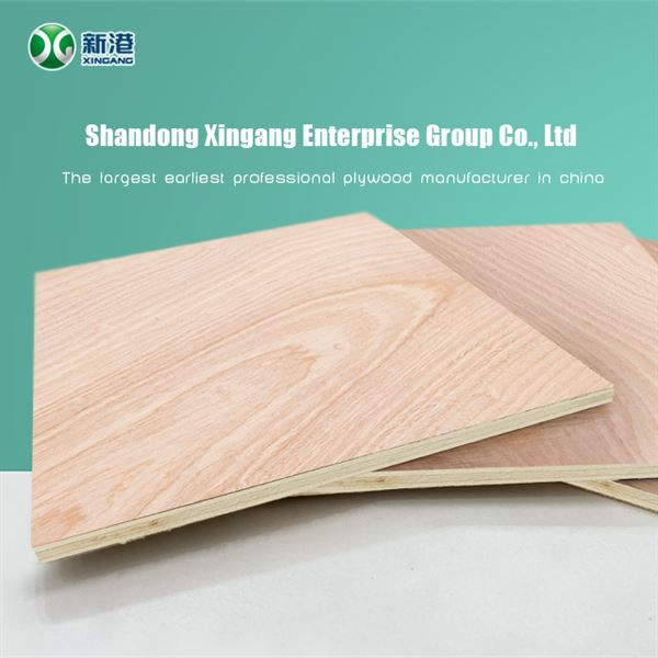 Cheap Plywood Sheet