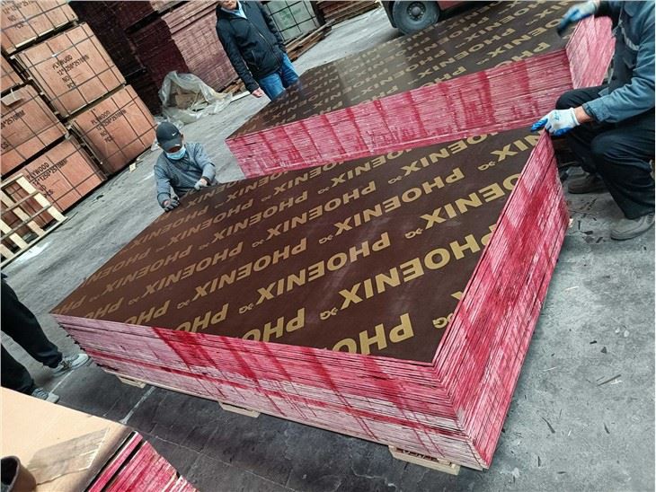 Film Faced Plywood