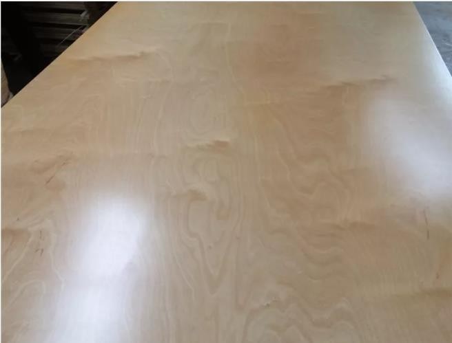 China UV Coated Full Birch Plywood Manufacturer