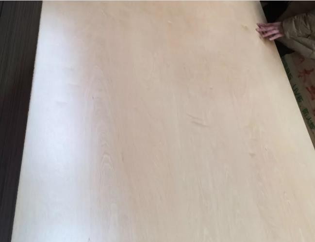 China UV Coated Full Birch Plywood Manufacturer