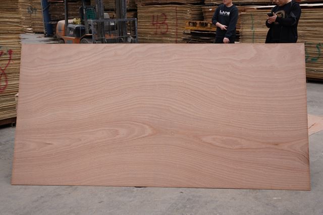 China / XinGang / Commercial Plywood