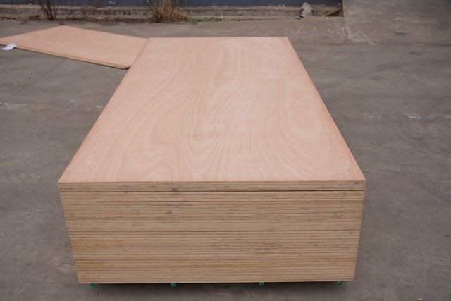 China / XinGang / Commercial Plywood
