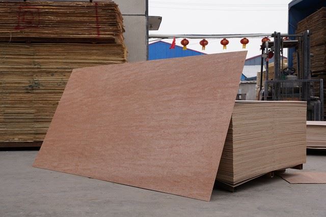 China / XinGang / Commercial Plywood