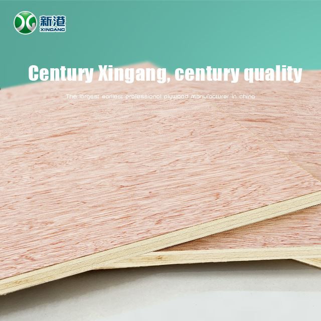 Commercial And Furniture Usage18mm1200mmx2400mm Bintangor Plywood