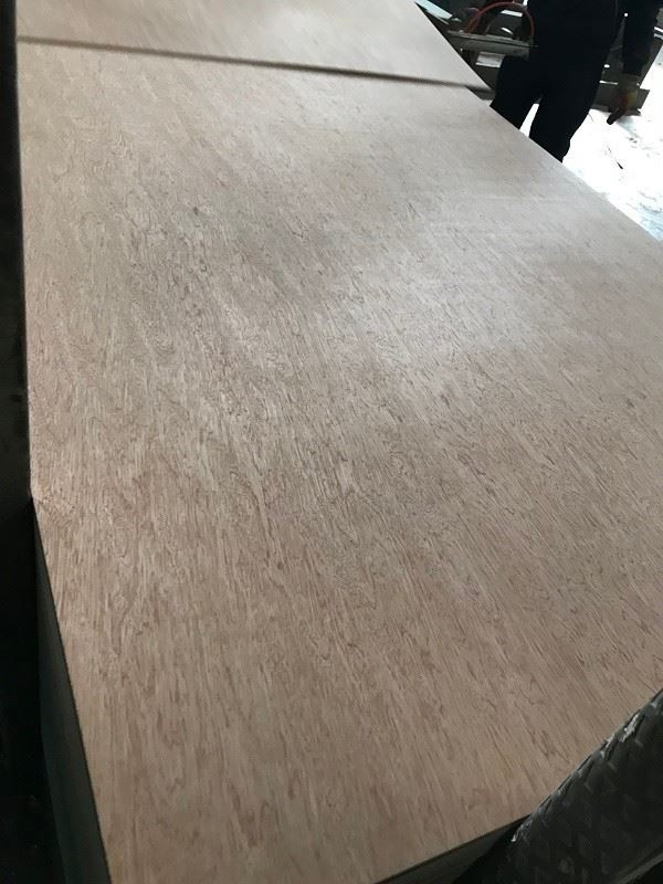 Commercial Plywood BB/CC