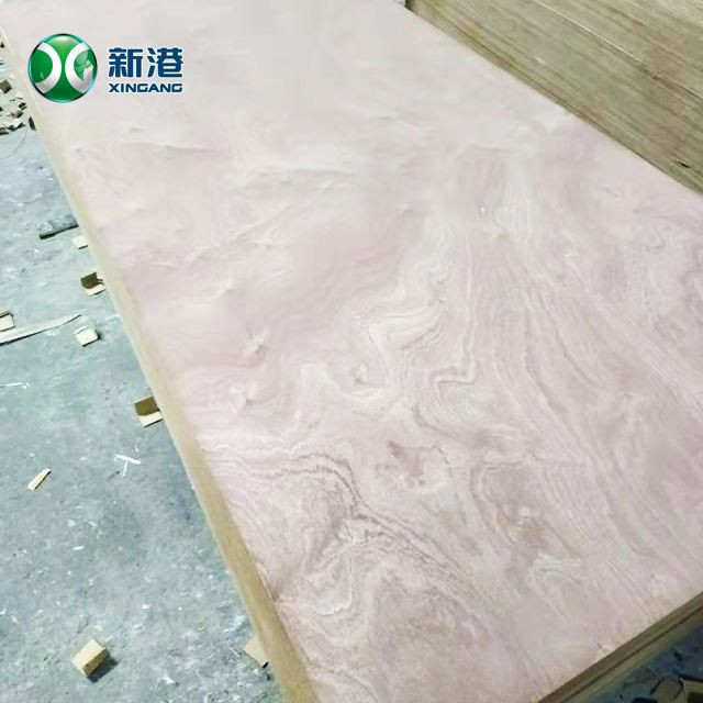 Commercial Plywood Packing Door Skin Decoration Furniture Okoume Well Sanding China Factory
