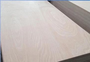 Commercial Plywood Poplar Core