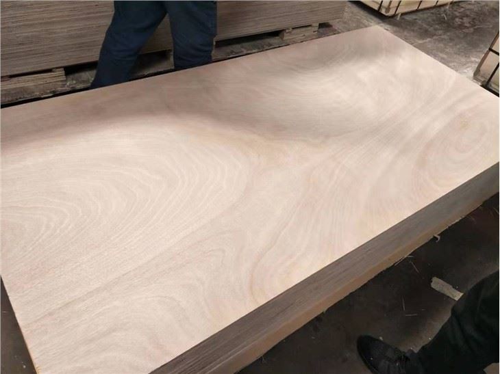 Commercial Plywood With Okoume Bintangor Pine