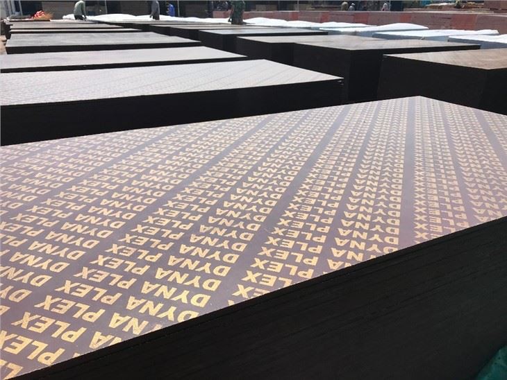 Construction Plywood Building Plywood Shuttering Plywood