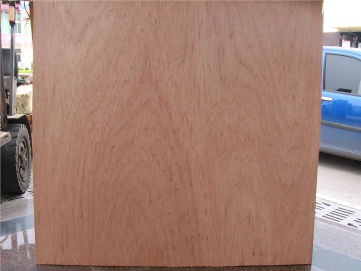 Construction Plywood Film Faced Plywood 1220x2440mm 12mm 15mm 18mm Black Brown Film Faced Plywood Sheet