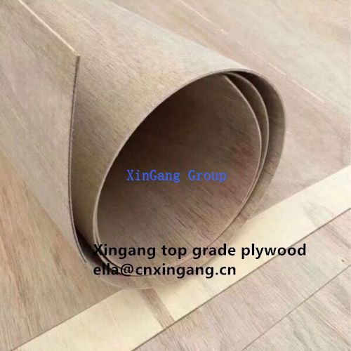 Curved Molded Plywood Hot Sale 3mm Poplar Core Marine Flexible Curved Plywood