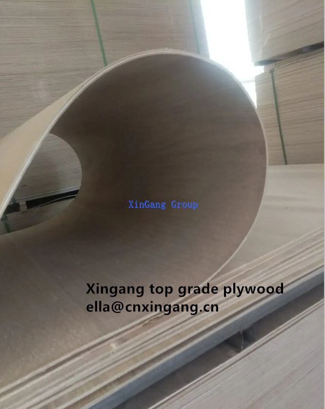 Curved Molded Plywood Hot Sale 3mm Poplar Core Marine Flexible Curved Plywood