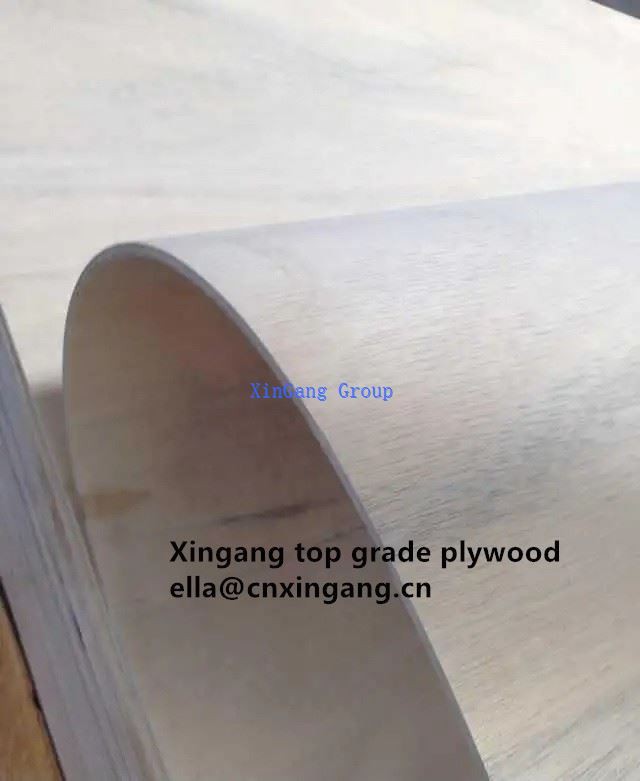 Curved Molded Plywood Hot Sale 3mm Poplar Core Marine Flexible Curved Plywood