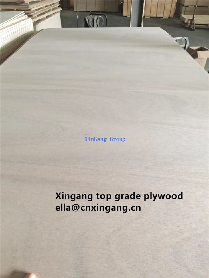 Curved Molded Plywood Hot Sale 3mm Poplar Core Marine Flexible Curved Plywood