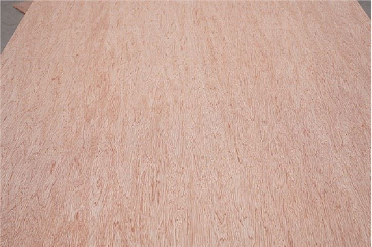 Door Skin Plywood Interior Decoration/Renovation