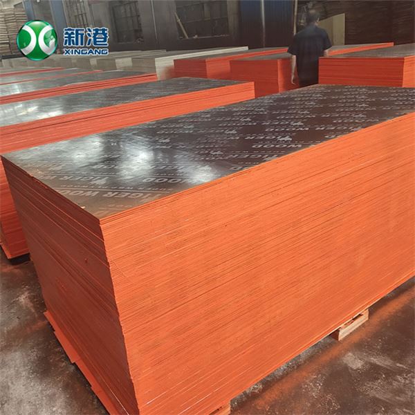 Eucalyptus Film Faced Plywood