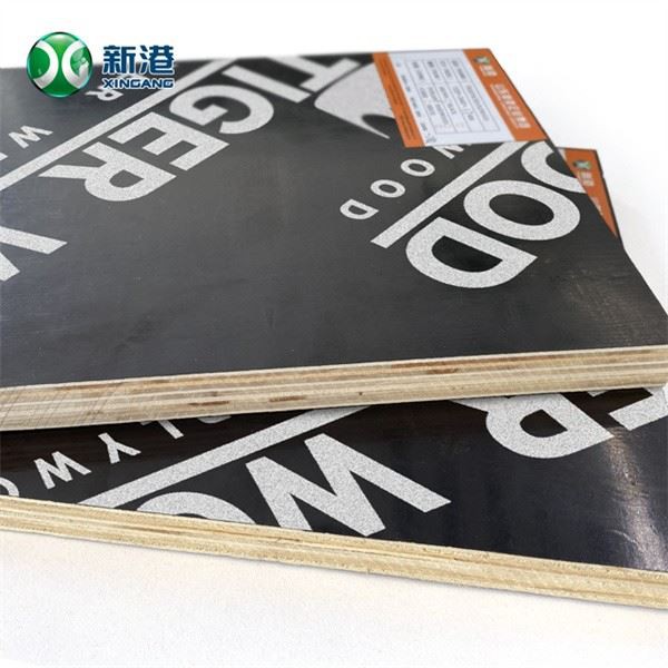 Eucalyptus Film Faced Plywood