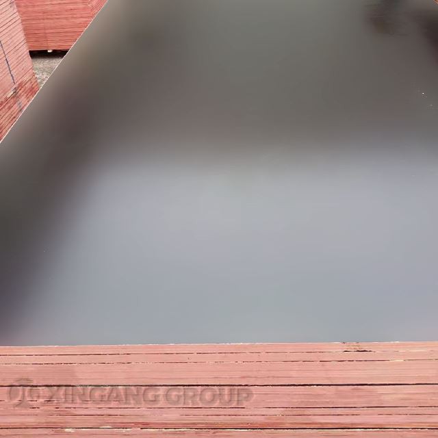 Factory 1220x2440 mm Black Film Faced Plywood Marine Construction Formwork Phenolic WBP Glue