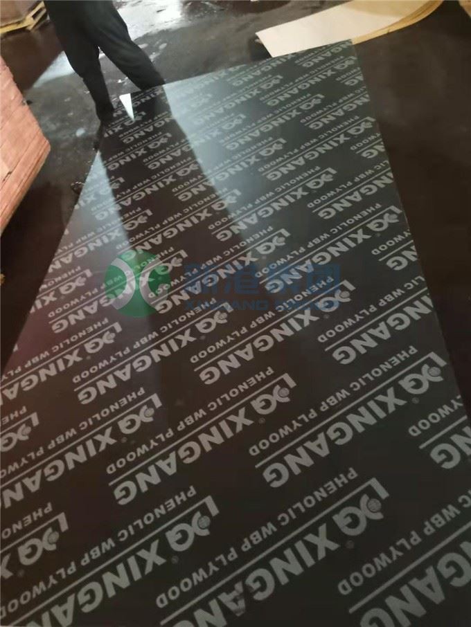 Film Faced Plywood 9mm 18mm 1250x2500mm For Construction Building Materils