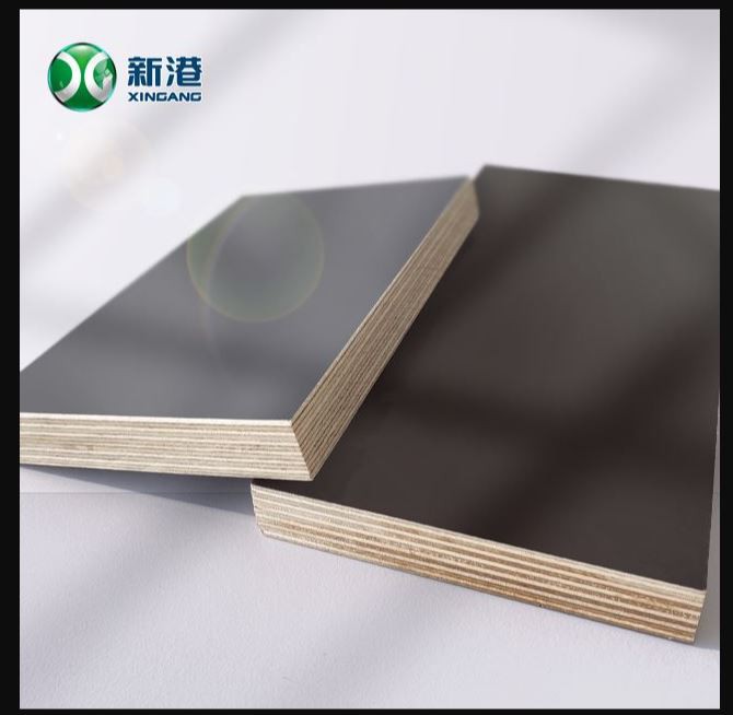 Film Faced Plywood Black Color 12mm