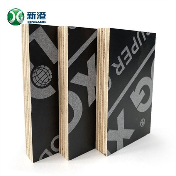 Film Faced Plywood Eucalyptus Core