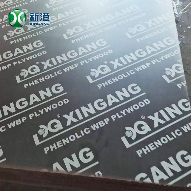 Film Faced Plywood Eucalyptus Phenolic WBP