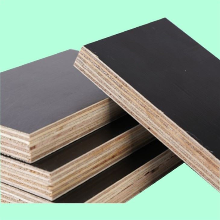 Film Faced Plywood Manufacturing Plant Shandong XG