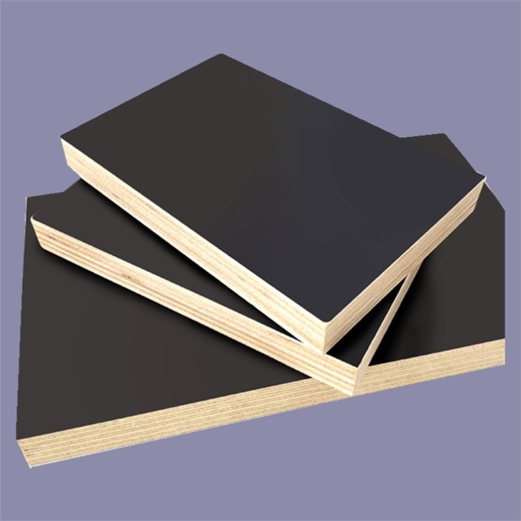 Film Faced Plywood Manufacturing Plant Shandong XG