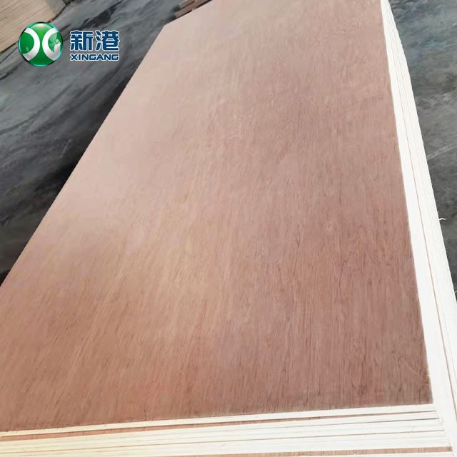 Birch Plywood Furniture Commercial Plywood Packing Plywood 13/15/18/20/21/22mm