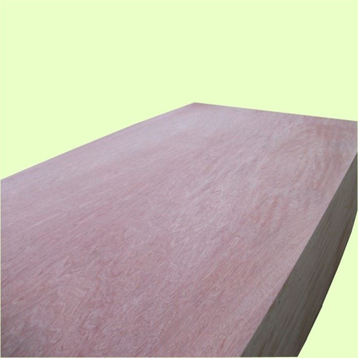 Furniture Plywood Sheet 4x8 Plywood Hot Press