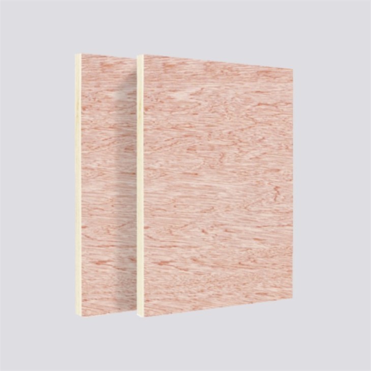 Furniture Plywood Sheet 4x8 Plywood Hot Press