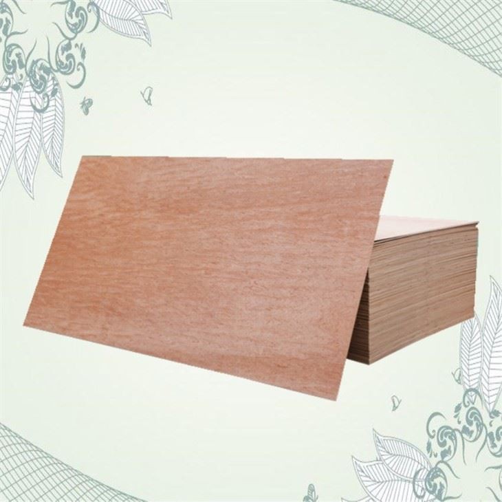 Furniture Plywood Sheet 4x8 Plywood Hot Press