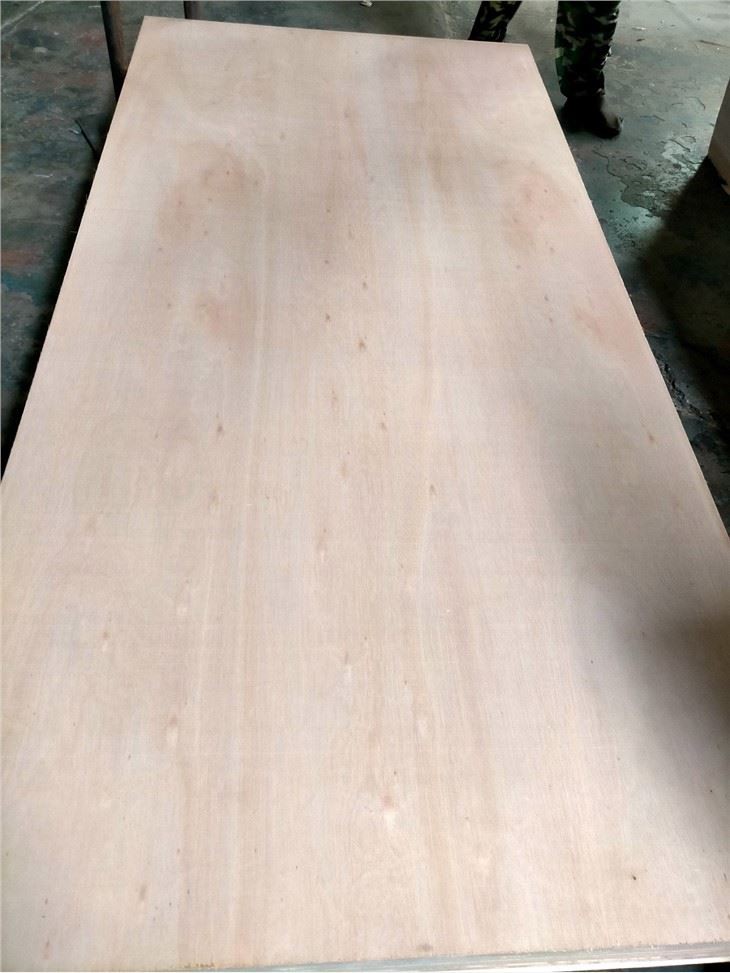 Greece Eucalyptus Face Plywood Commercial Plywood