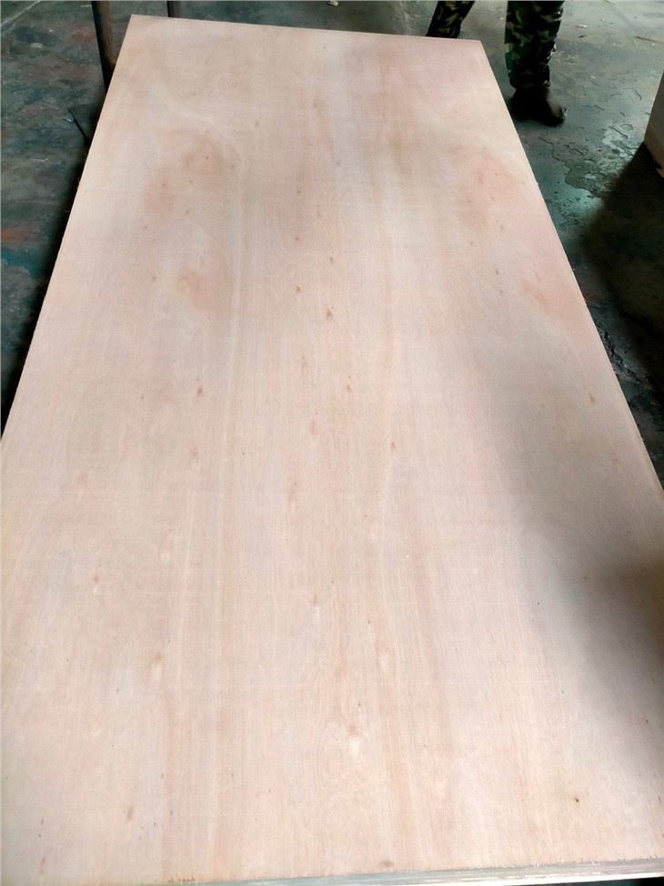 Greece Eucalyptus Face Plywood Commercial Plywood