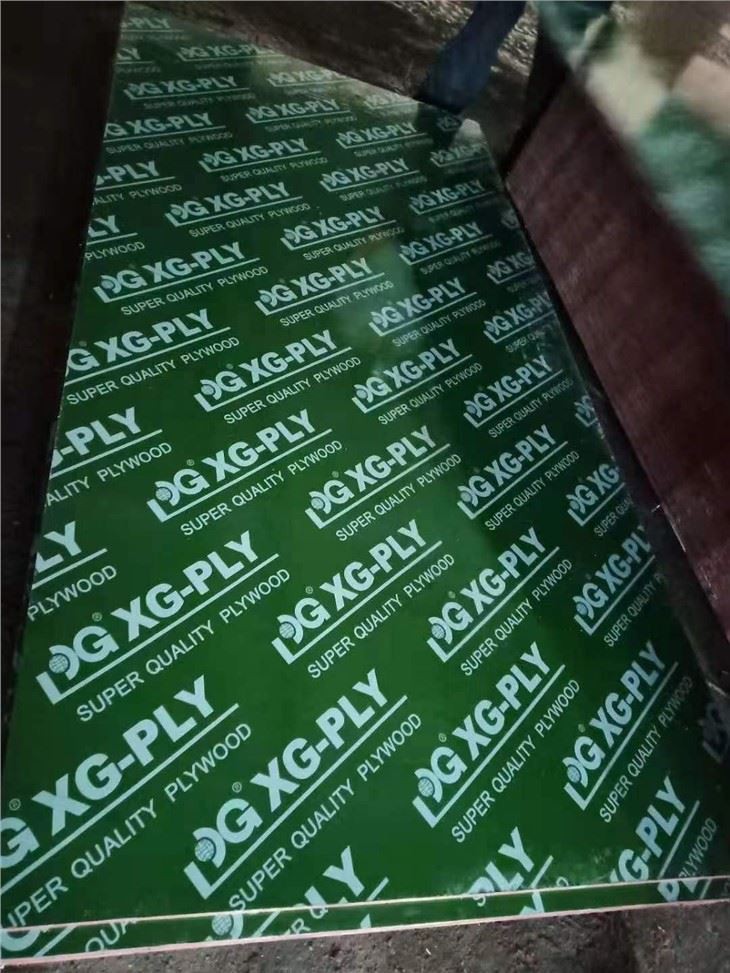 Green PP Plastic Faced Plywood